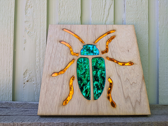 Beetle - SOLD!
